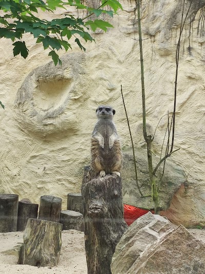 Photo 4 of Zoo de Lille