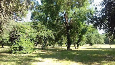 Photo 3 de Parc des Rives du Loup