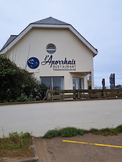 Photo 5 de l'Aporrhais