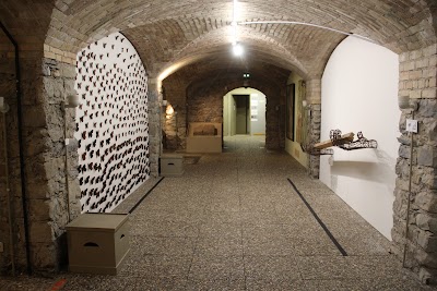 Photo 3 de Muséum départemental des Hautes-Alpes