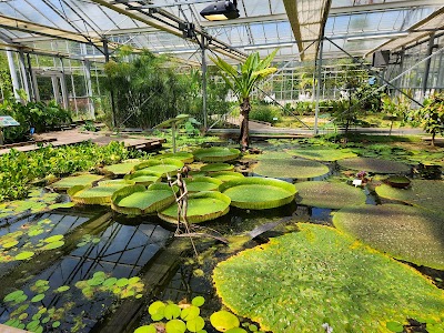 Photo 4 de Jardins suspendus