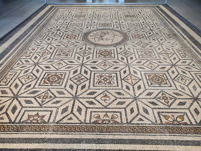 Photo 4 of Musée Narbo Via