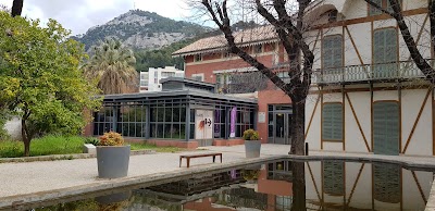 Photo 4 de Muséum départemental du Var