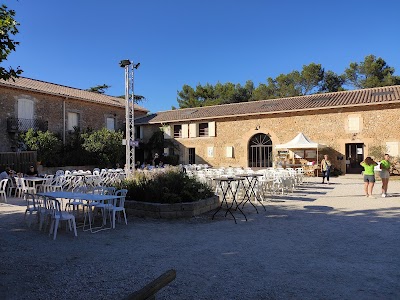 Photo 5 of Domaine Saint Jean de l'Arbousier