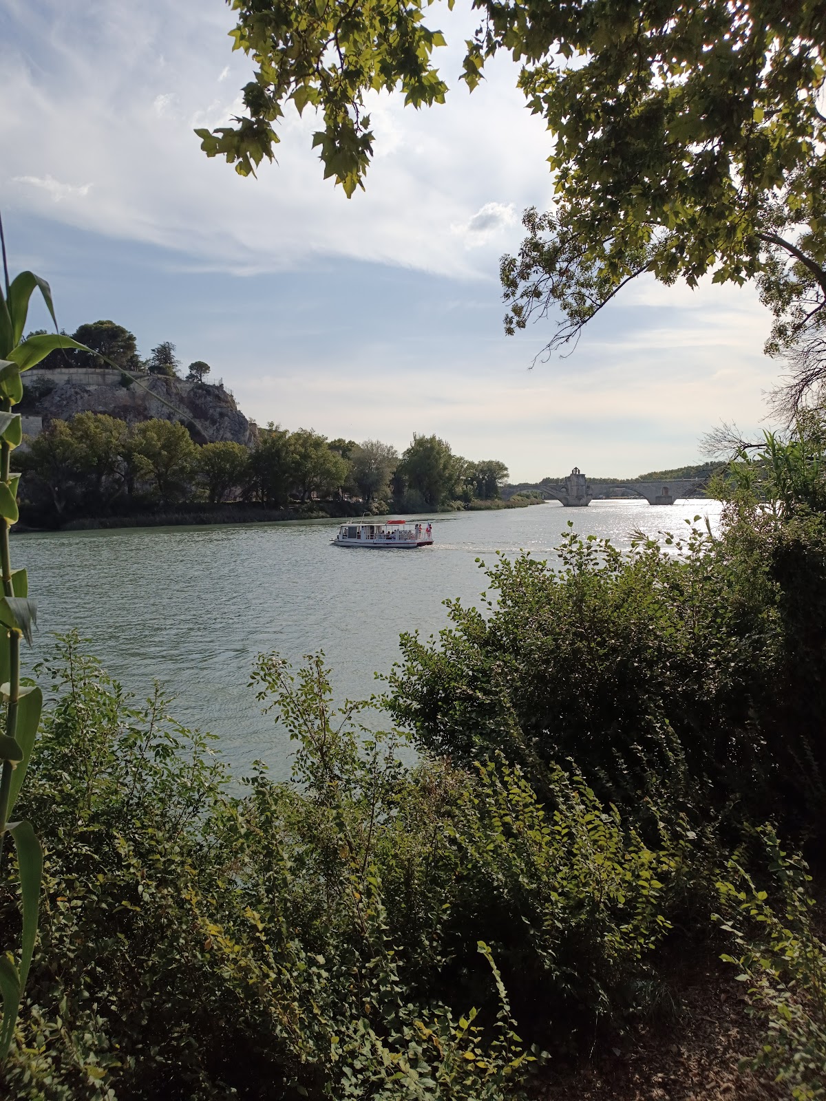 Photo 2 de Île de la Barthelasse