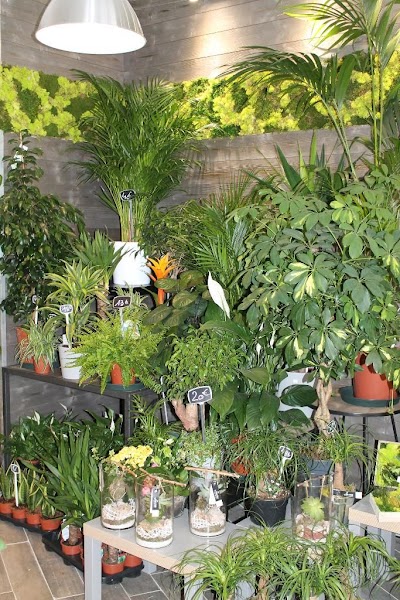 Photo 3 de Mon Fleuriste