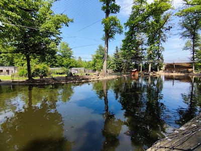 Photo 4 of Parc du Château