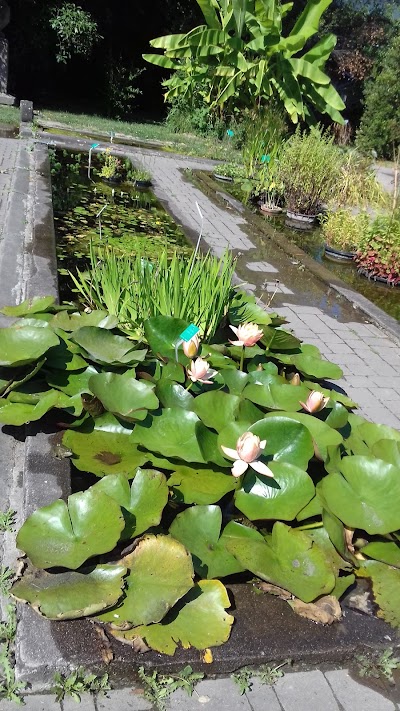 Photo 3 of Jardin Botanique de l'université de Strasbourg