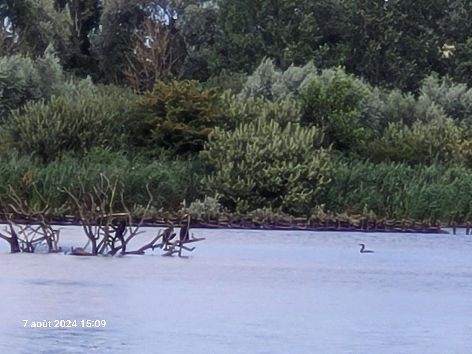 Photo 3 de Le romelaere