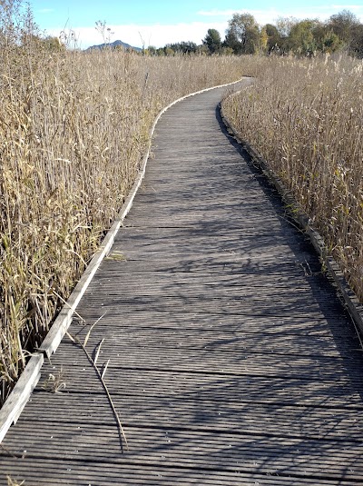 Photo 3 de Parc naturel du Plan