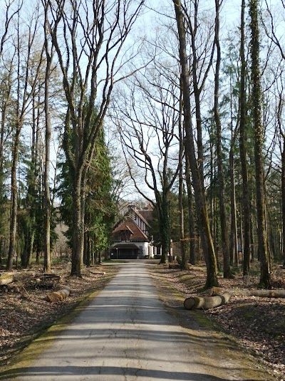 Photo 2 de Parcs Forestier de Larçay - Les Hâtes