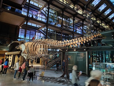 Photo 4 de Grande Galerie de l'Évolution