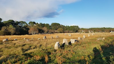 Photo 4 de Alignements de Carnac