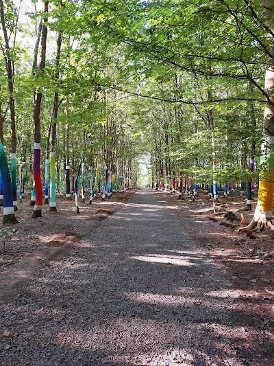 Photo 5 of Forêt Monumentale - Le monde dans un gland