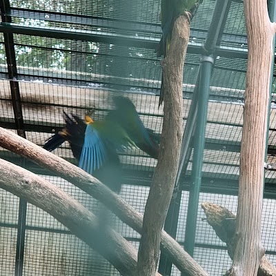 Photo 4 de Bioparc Genève