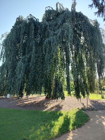 Photo 3 de Parc Saint François-Xavier