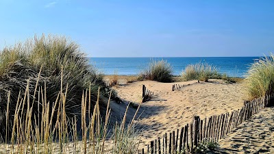 Photo 4 of Plage chien - repère 60