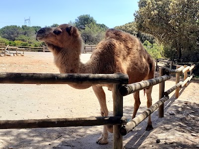 Parc Animalier de la Barben