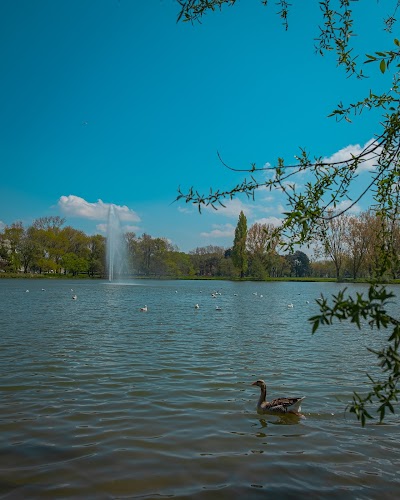 Photo 3 de Parc Paysager