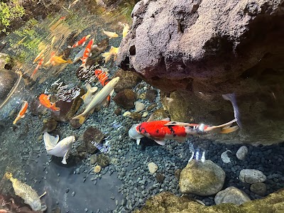 Photo 5 de Aquarium de Paris