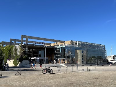 Photo 3 de Aquarium de La Rochelle