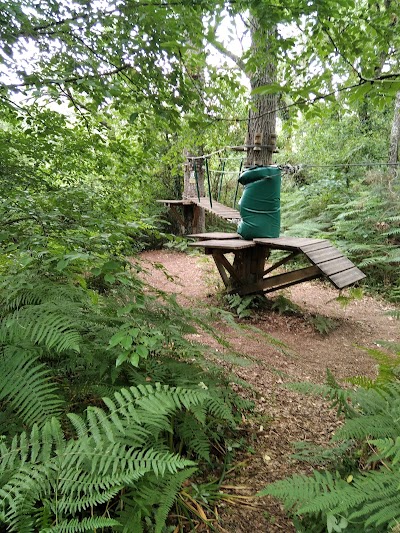 Photo 5 of Bois de Thouars