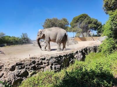 Photo 4 de Parc Animalier de la Barben