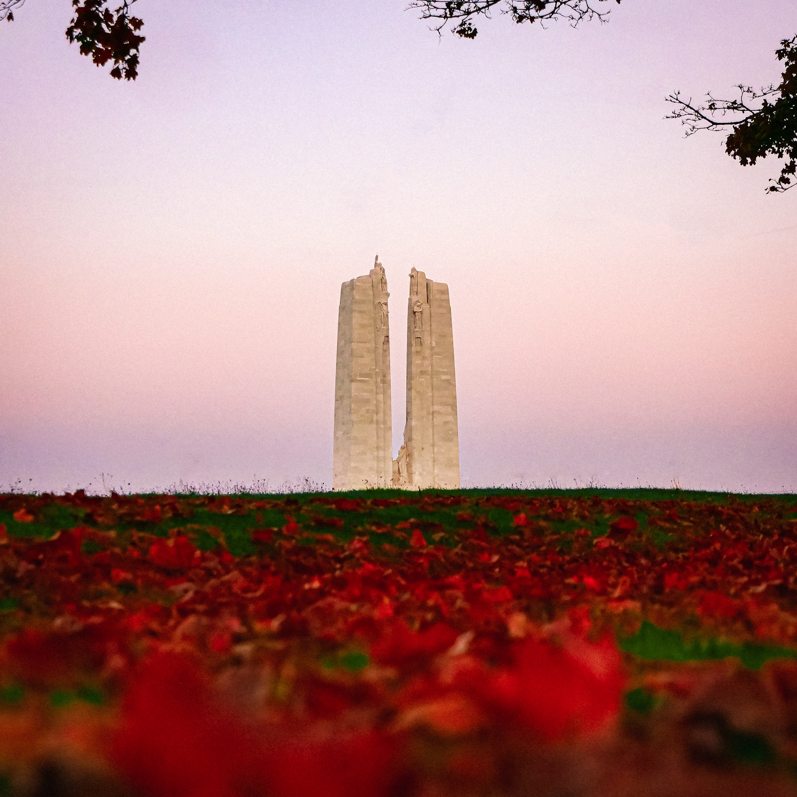 Photo 1 de Vimy