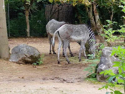 Photo 2 de Parc Zoologique et Botanique de Mulhouse