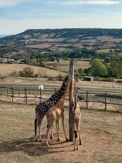 Photo 3 de Parc Animalier d'Auvergne