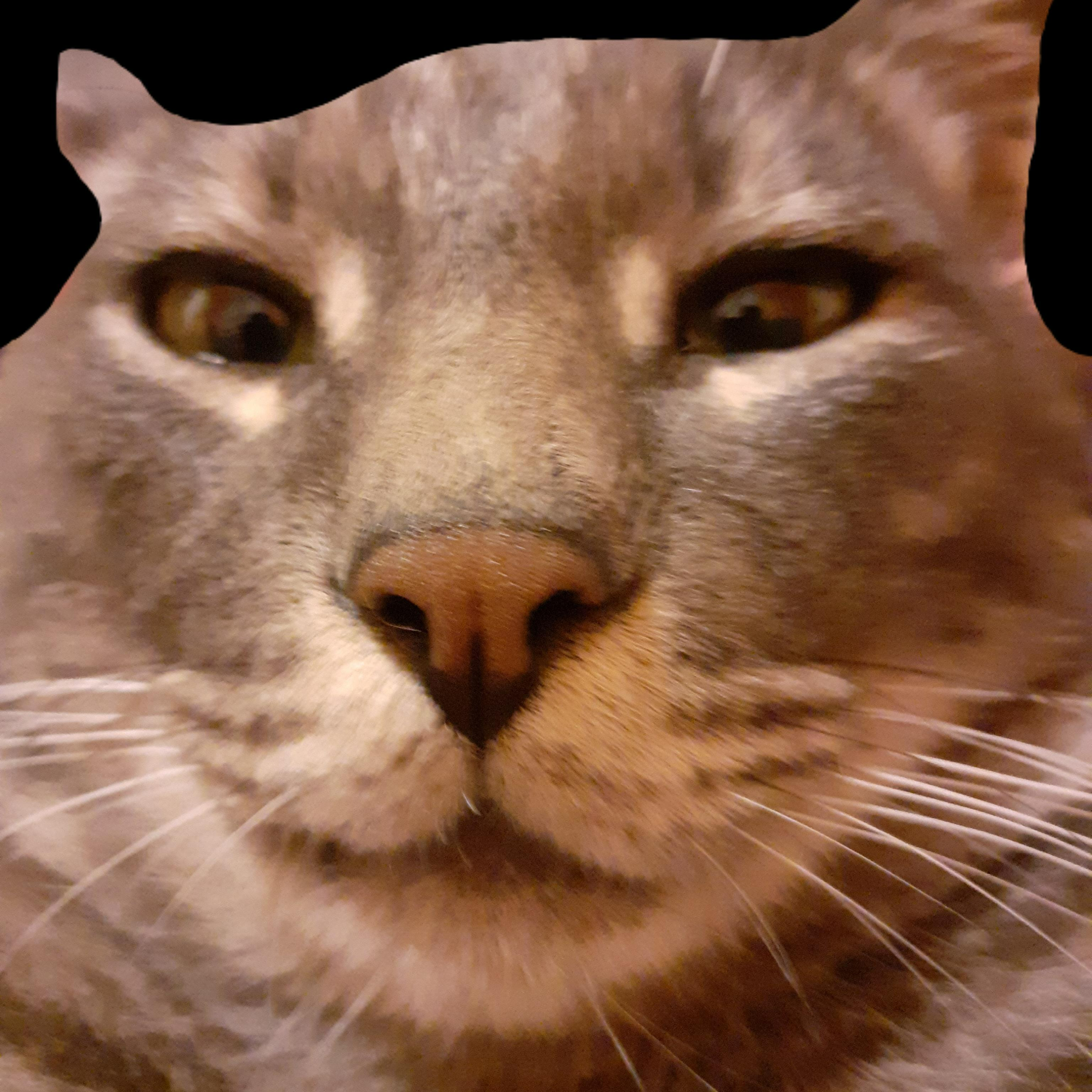 Bruckler
