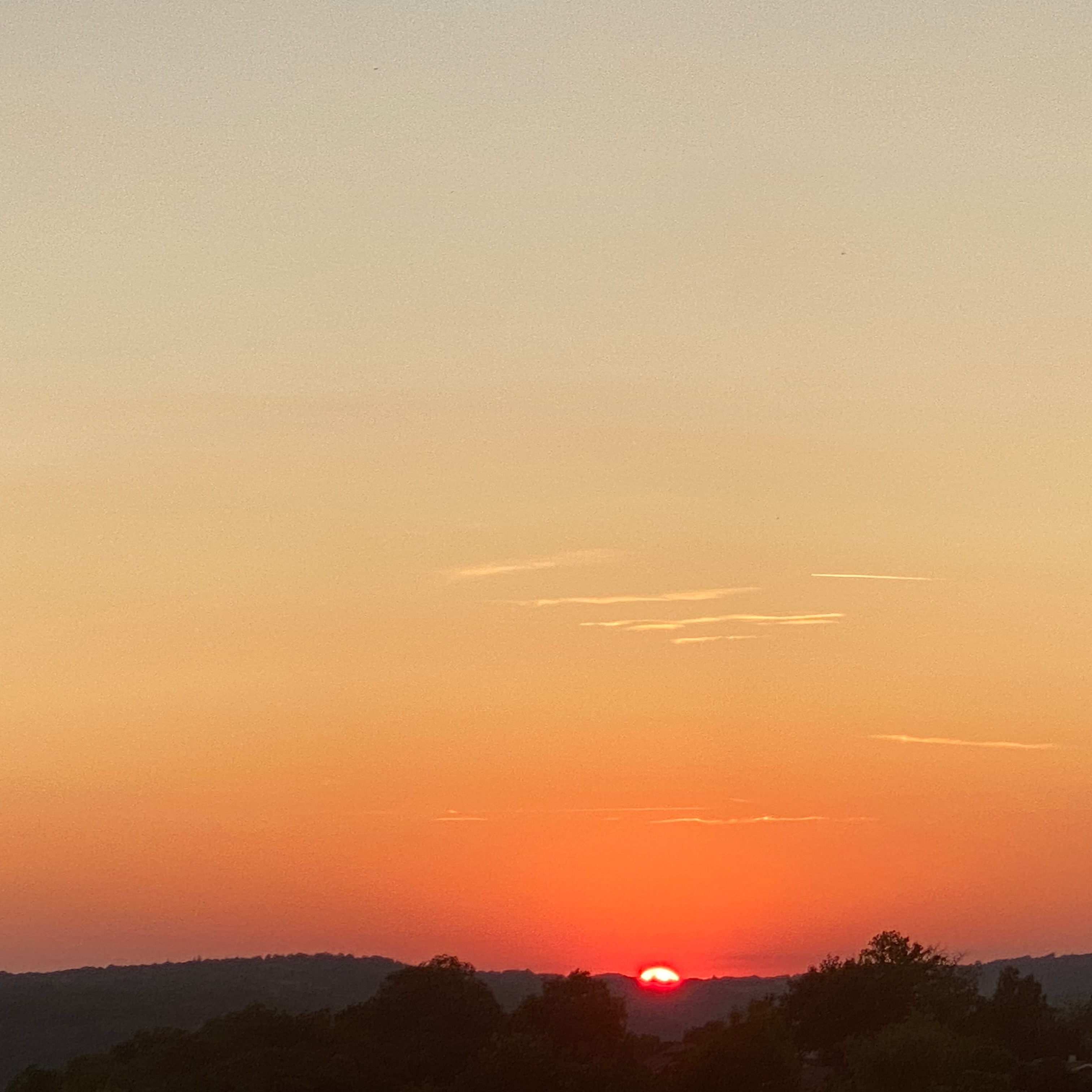 Lotoise et Aveyronnaise