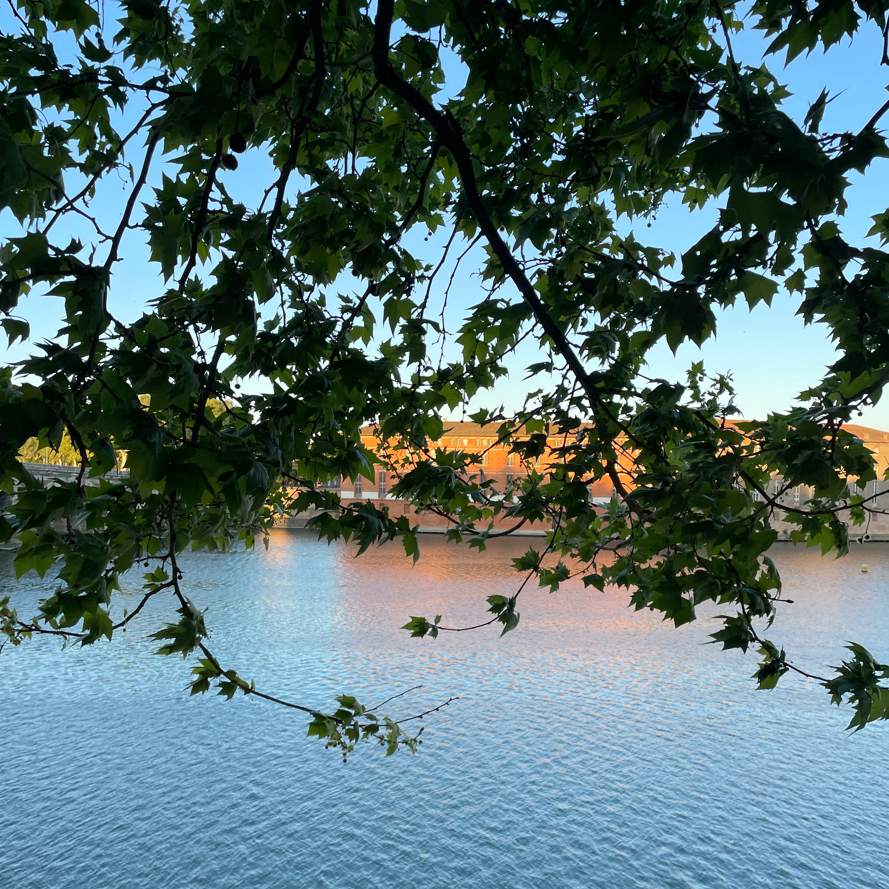 amoureuse de toulouse