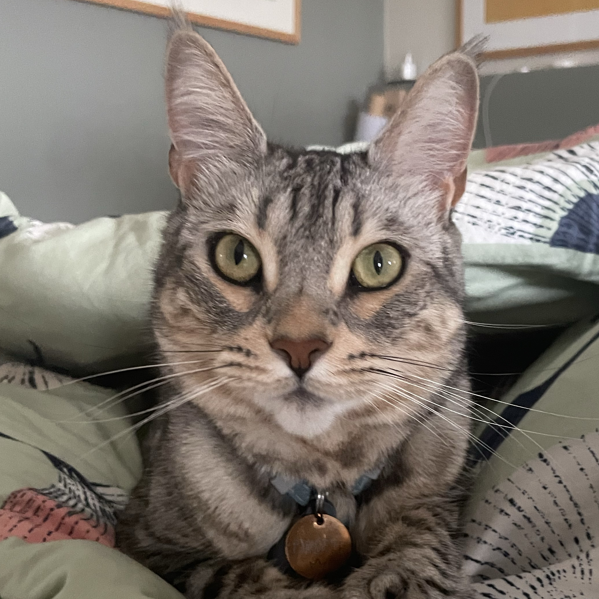 Lala