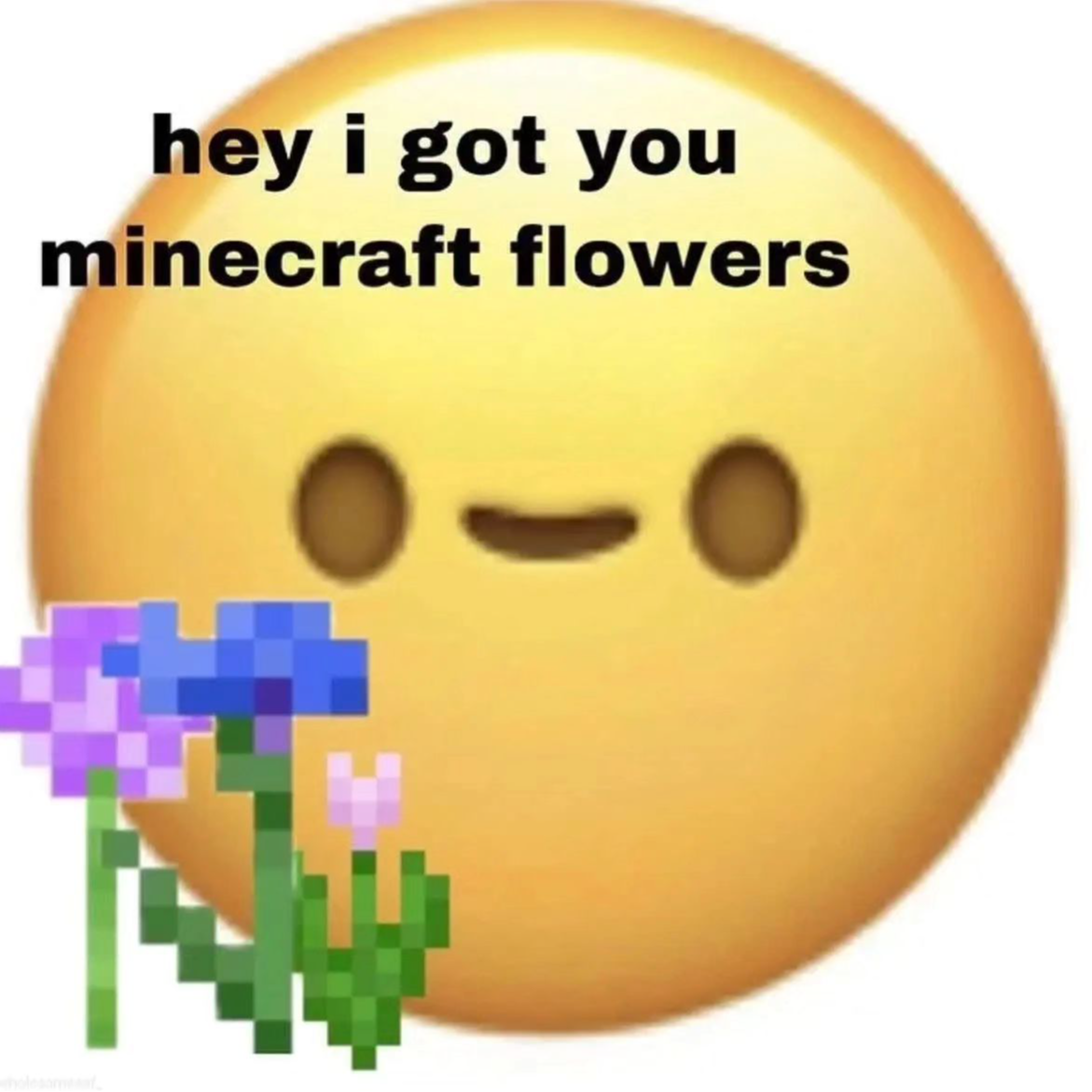 Rebeccatapulte
