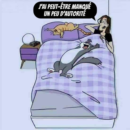 Marion Gourvennec