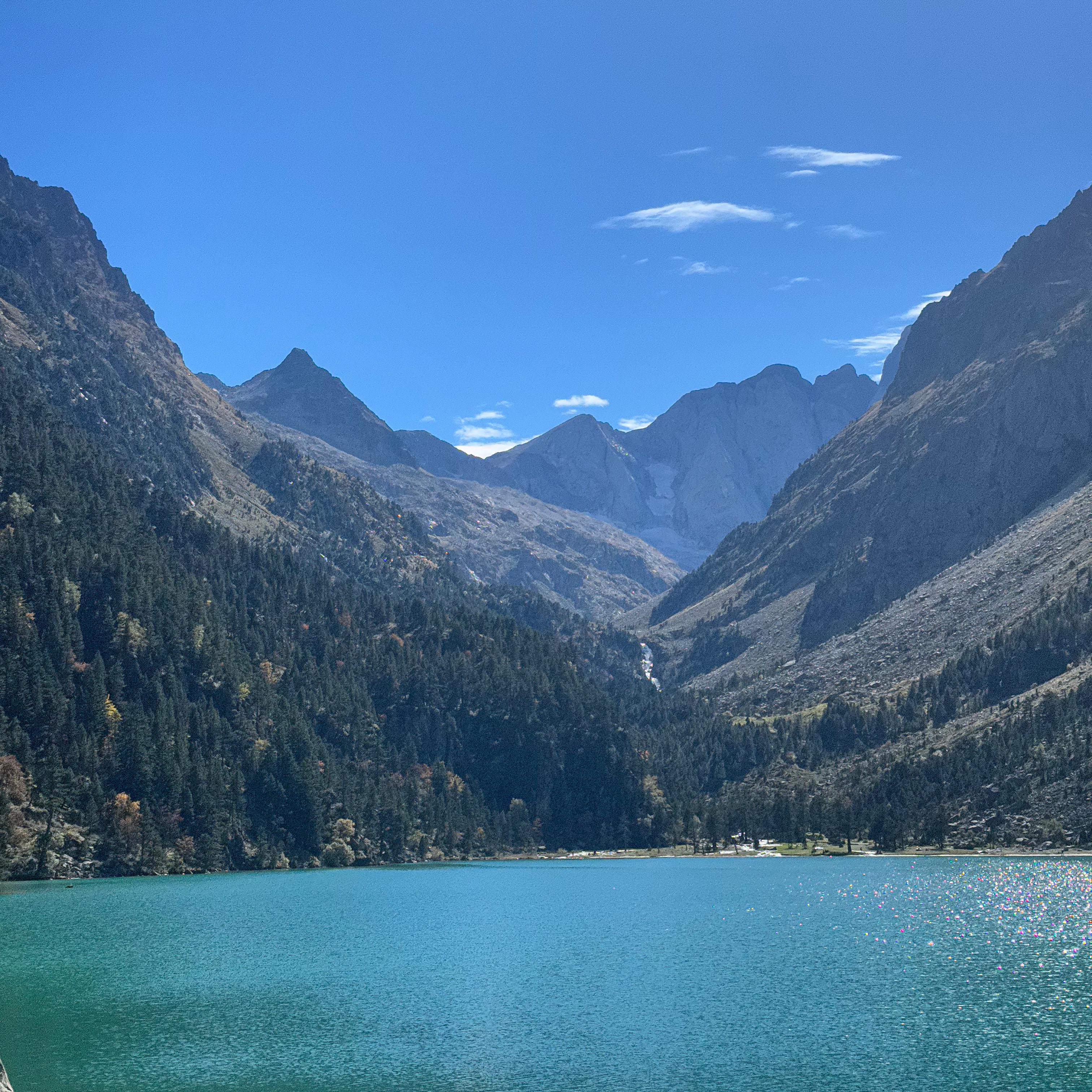 Stinefau