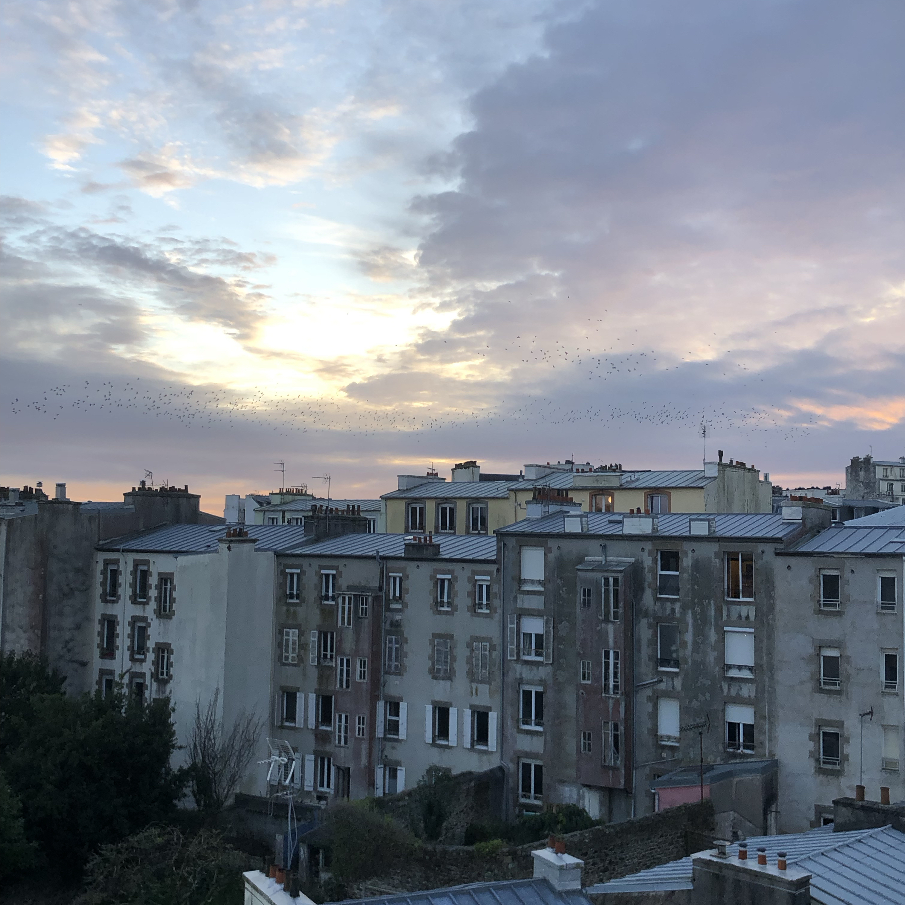 Brest