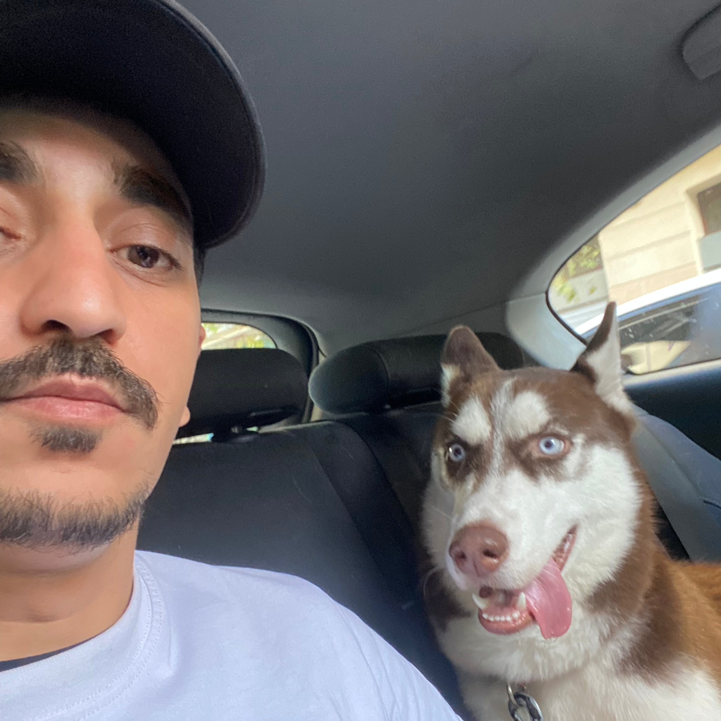Lobos