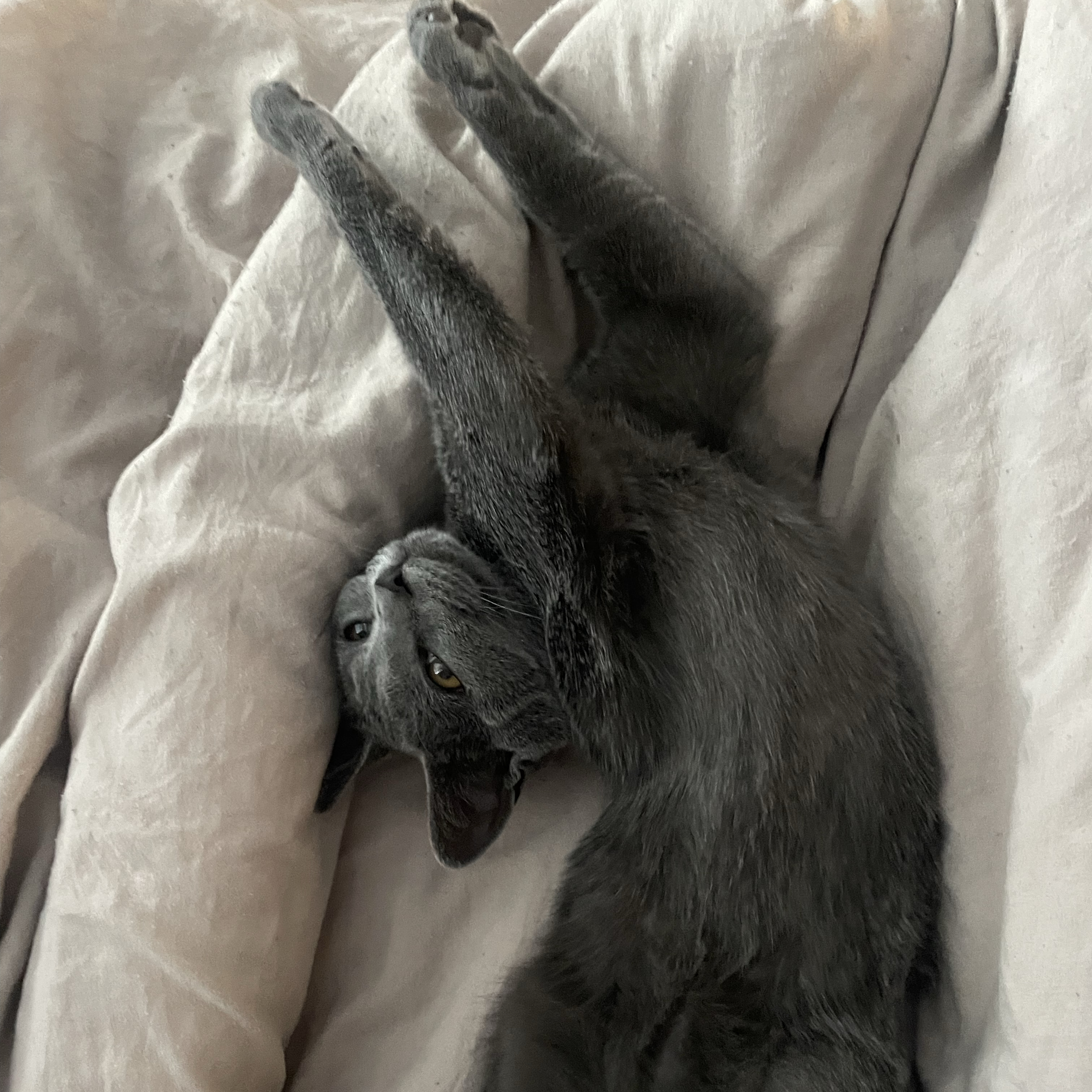 Eugé