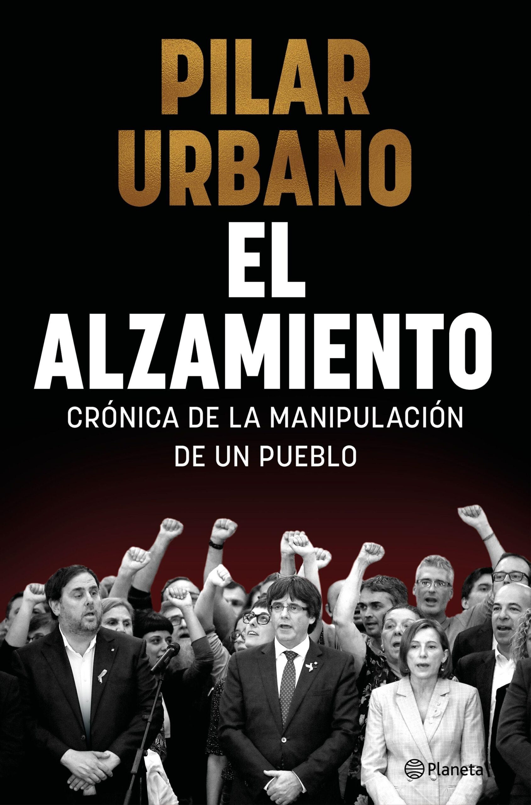 Alzamiento