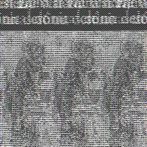 De Venezuela al Kurdistán