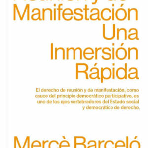 Derecho de Reunión y de Manifestación. Una Inmersión Rápida. - ISBN: 9788413475806