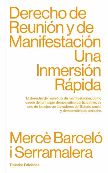 Derecho de Reunión y de Manifestación. Una Inmersión Rápida. - ISBN: 9788413475806
