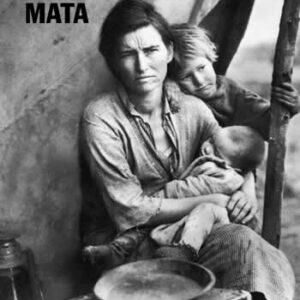 Desigualdad mata