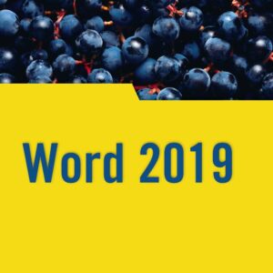 Word 2019 - ISBN: 9788441541146