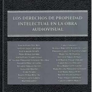 Derechos de propiedad intelectual en la obra audiovisual