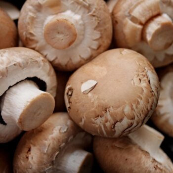 Champignons