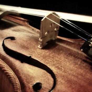 Violon à cordes
