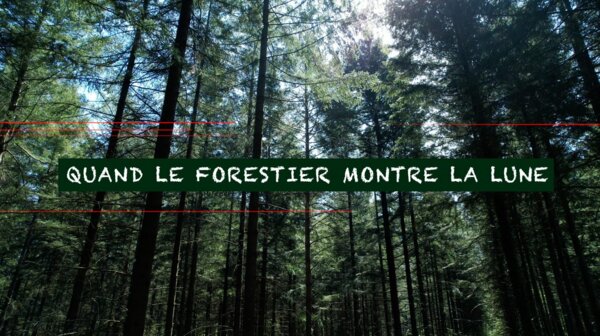 Photo : Documentaire « Quand le forestier montre la lune »
